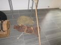 IMG_1754