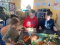IMG-20230103-WA0013