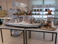 p1000052
