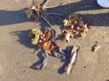 IMG-20221027-WA0002