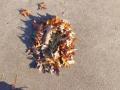 IMG-20221027-WA0004