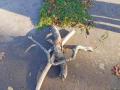 IMG-20221027-WA0005