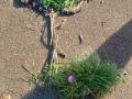 IMG-20221027-WA0007